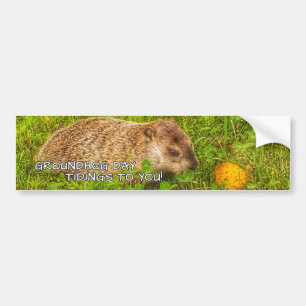 Groundhog Jour vous annonce! autocollant pare-choc