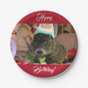 Groundhog Moses Geburtstagspapier Teller