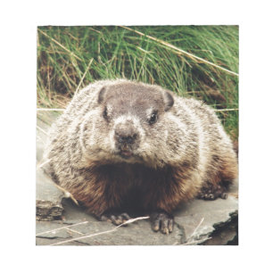 Groundhog Notizblock