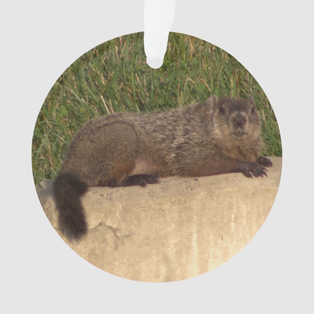 Groundhog Ornament (Vorderseite)