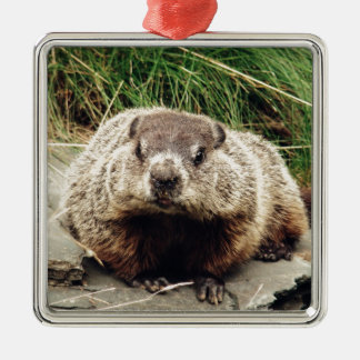 Groundhog Ornament Aus Metall
