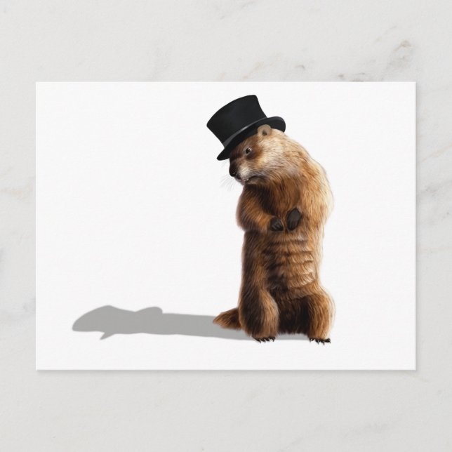 Groundhog Seeing Shadow Postkarte (Vorderseite)