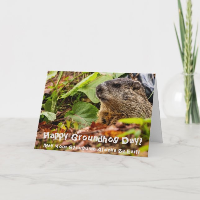 Groundhog Springtime Karte (Vorderseite)