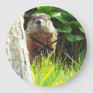 Groundhog Uhr