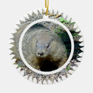 Groundhog Verzierung Keramik Ornament