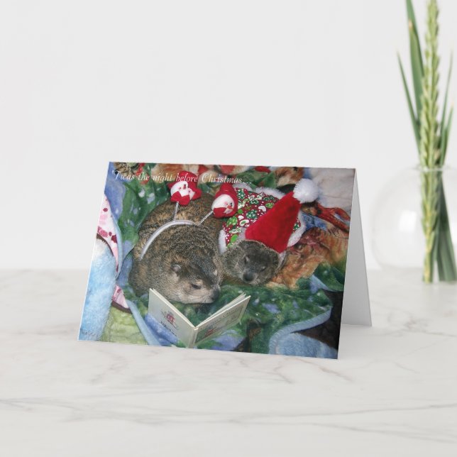 Groundhog Weihnachtskarte Feiertagskarte (Vorderseite)
