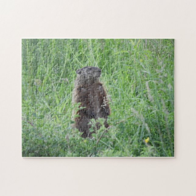 Groundhog Woodchuck Stehend in Grass Puzzle (Horizontal)