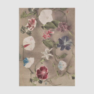 Group of Morning Glories by Ogawa Kazumasa Seidenpapier