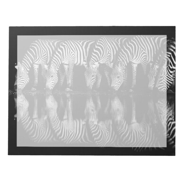 Group of Plains Zebra Drink Together at Night Notizblock (Vorderseite)