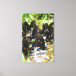 Groupe de canevas Swallowtails Imprimer
