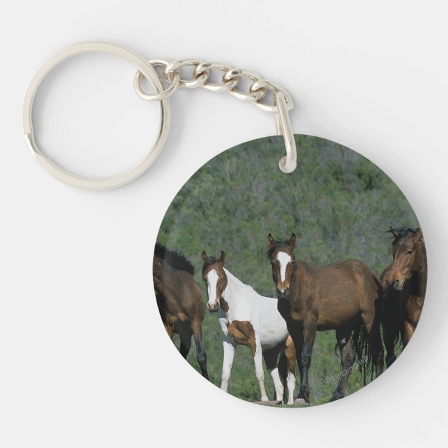 Groupe de chevaux sauvages de mustang (Devant)
