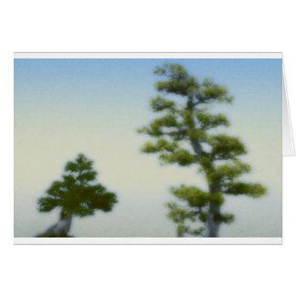 Groupe de pins de bonsaïs