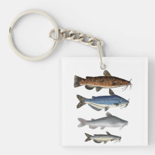Groupe de poissons de l'Amérique du Nord
