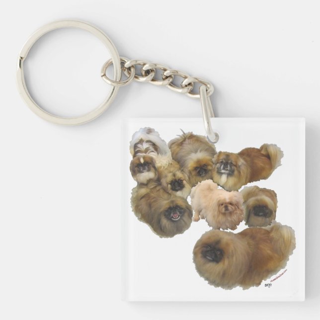 Groupe Pékinois (Devant)