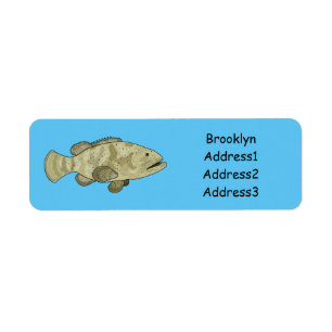 Grouper fish cartoon illustration