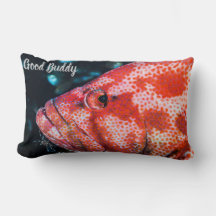 Grouper und Cleaner Shrimp