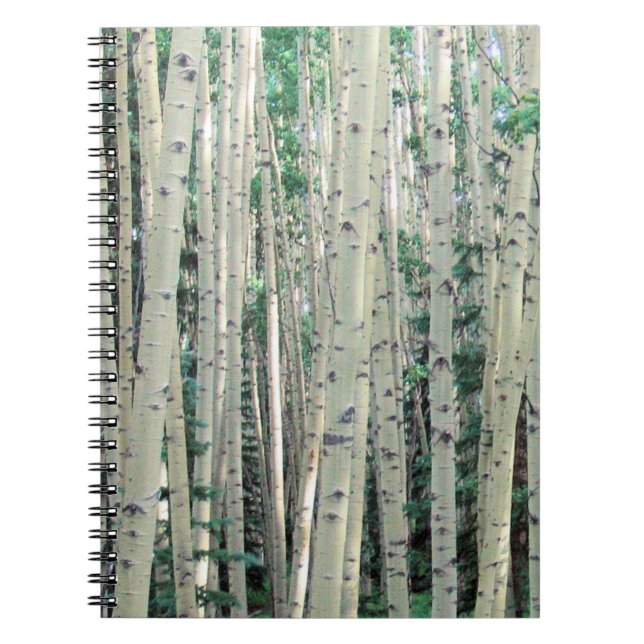 Grove of Mountain Aspen Trees Notebook Notizblock (Vorderseite)
