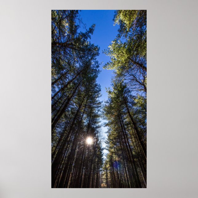 Groveport, OH Poster (Vorne)