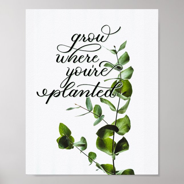 "Grow Where You're Planted" Inspirational Quote Poster (Vorne)