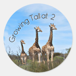 Growing Tall Safari Accent Runder Aufkleber