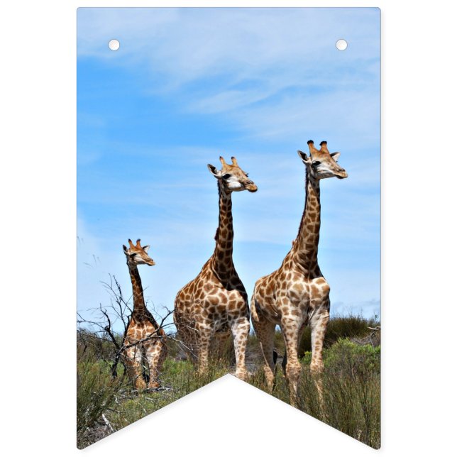 Growing Tall Safari Banner (Erste Fahne)