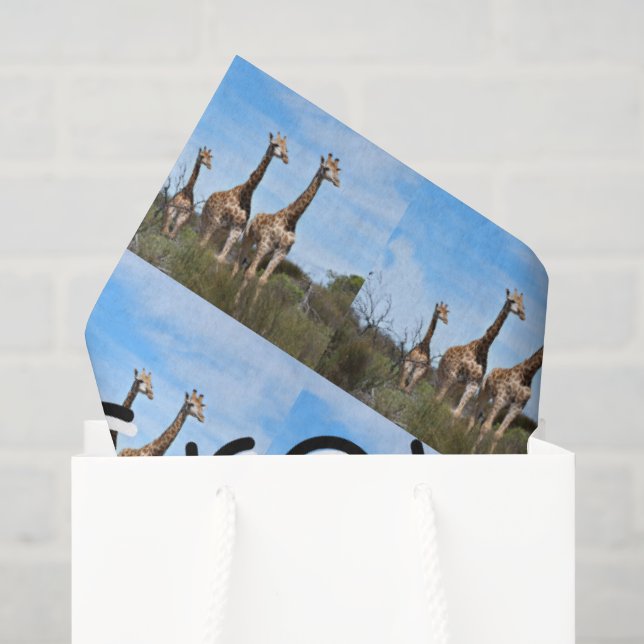 Growing Tall Safari Harmony Seidenpapier (Geschenktüte)