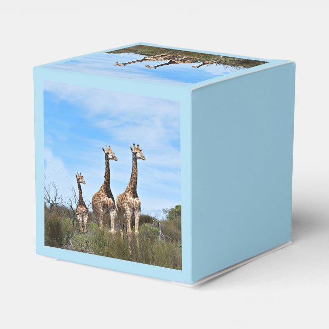 Growing Tall Safari Wonder Geschenkschachtel (Rückseite)