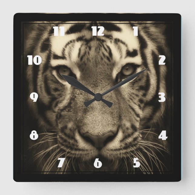 Growling Tiger Face in Sepia Tones Quadratische Wanduhr (Vorderseite)