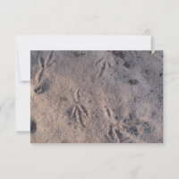 Grue de sable dans le sable sur une carte