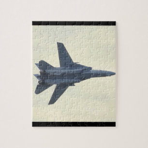 Grumman F-14D Tomcat/vereinigtes States_Aviation