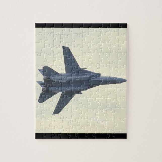 Grumman F-14D Tomcat/vereinigtes States_Aviation (Vertikal)