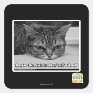 Grumpage Quadratischer Aufkleber