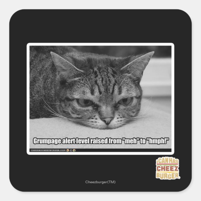 Grumpage Quadratischer Aufkleber (Vorderseite)