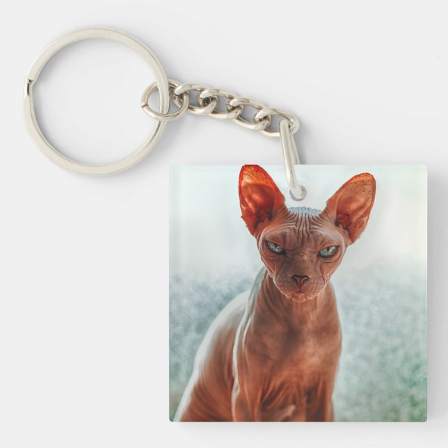 Grumpige, haarlose Sphynxkatze Schlüsselanhänger (Vorderseite)