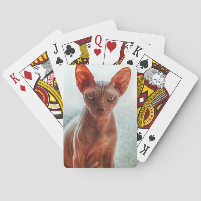 Grumpige, haarlose Sphynxkatze Spielkarten (Rückseite)