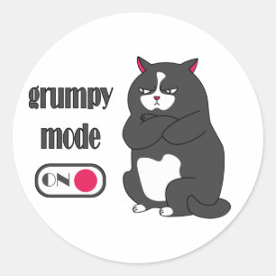 Grumpiger Modus bei lustiger, dicker Katze Runder Aufkleber