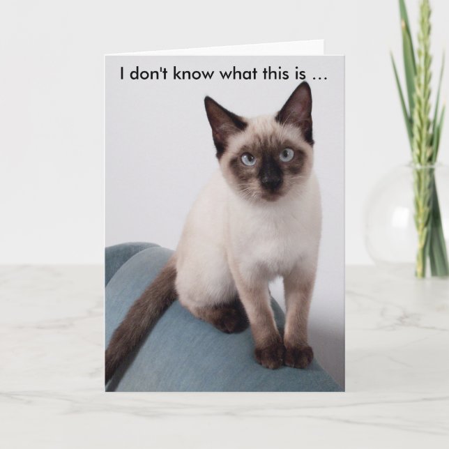 Grumpis à regarder le chat sur une carte d'anniver (Devant)
