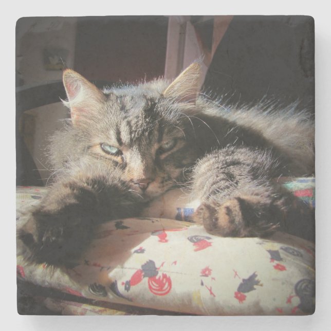 Grumpy Angel Cat ist verdächtig Steinuntersetzer (Vorderseite)