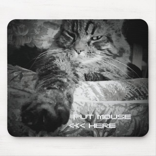 Grumpy Angel Cat wants your mouse Mousepad (Vorne)