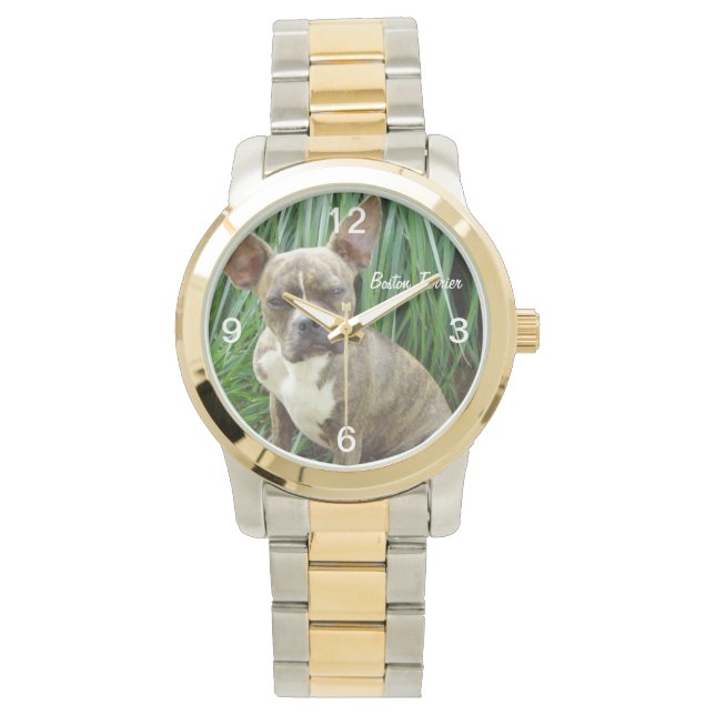 Grumpy Boston Terrier Dog Watch Armbanduhr (Vorderseite)