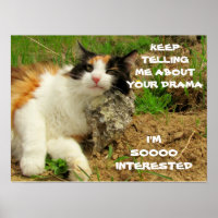 Grumpy Calico Cat Drama Sarcasm