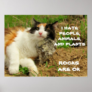 Grumpy Calico hasst alles außer Rocks Poster
