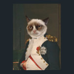 Grumpy Cat Classic Malerei Poster<br><div class="desc">Grumpy Cat Classic Malerei</div>