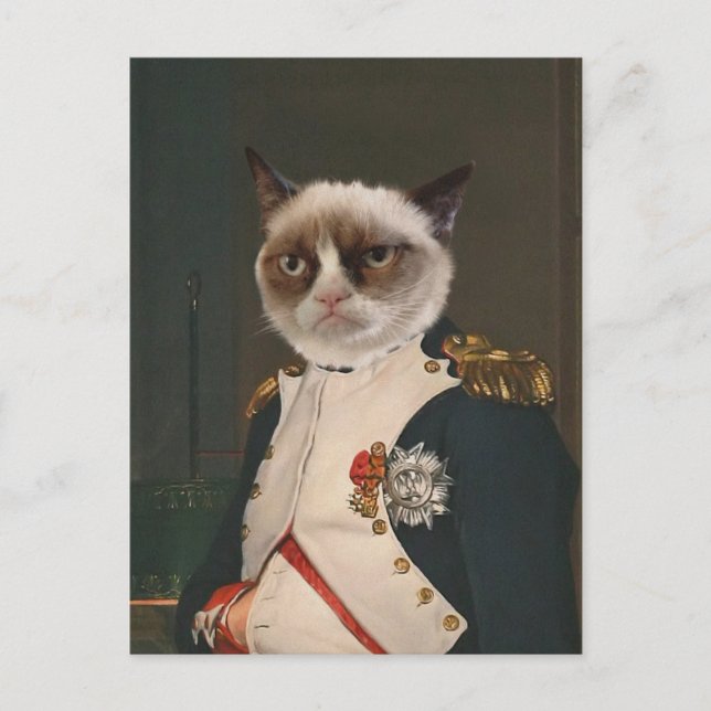 Grumpy Cat Classic Malerei Postkarte (Vorderseite)