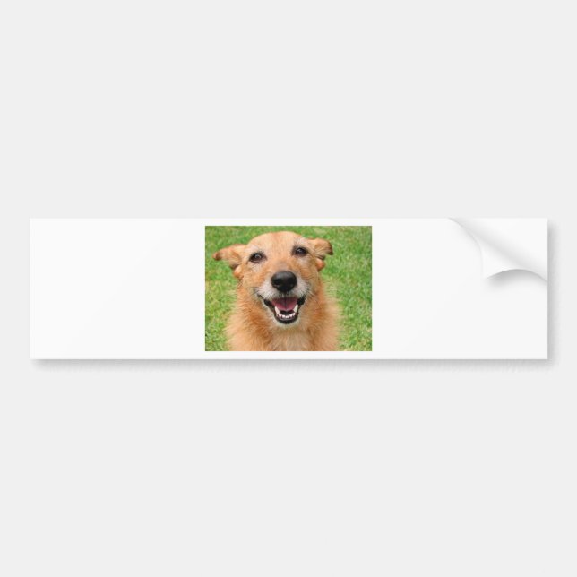 Grumpy Cat demise/Happy Hund Products Autoaufkleber (Vorne)