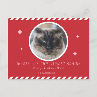 Grumpy Cat Foto lustiges Weihnachten rote Familien
