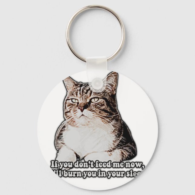 Grumpy Cat Meme für Katzenbesitzer und Kätzchenbes Schlüsselanhänger (Vorderseite)