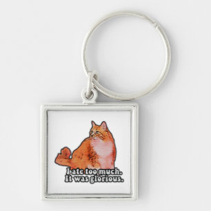 Grumpy Cat Meme für Katzenfreunde und Kittenliebha Schlüsselanhänger