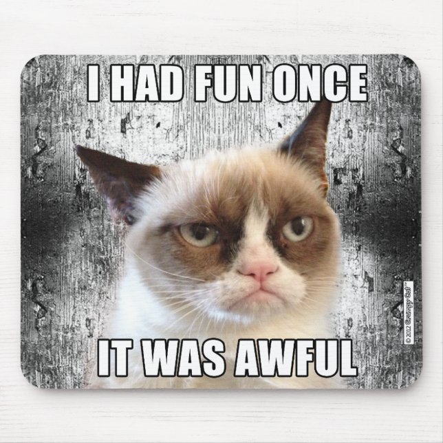 Grumpy Cat™ Mousepad - Ich hatte einmal Spaß. (Vorne)