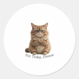 Grumpy Cat "Not Today, Human" Aufkleber Funny Fluf